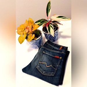 7 For All Mankind